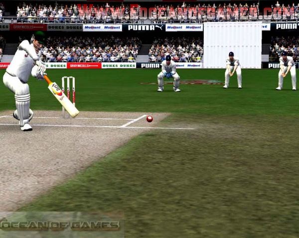 Cricket 07 Download For Free
