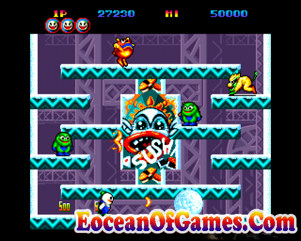 Snow Bros Features