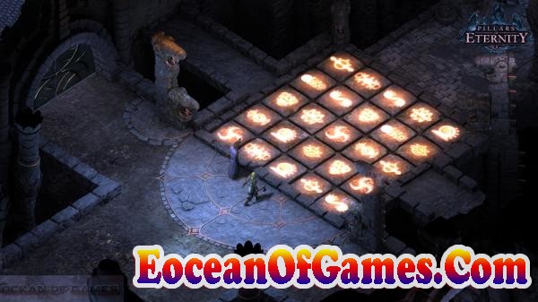 Pillars of Eternity Features