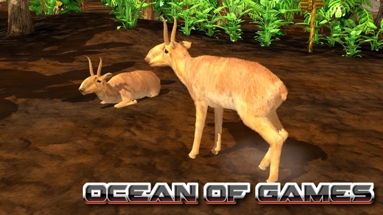 Wildlife Park 3 Asia Free Download