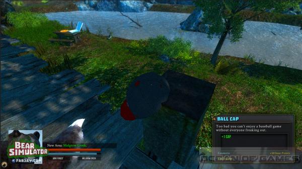 Bear Simulator Setup Free Download