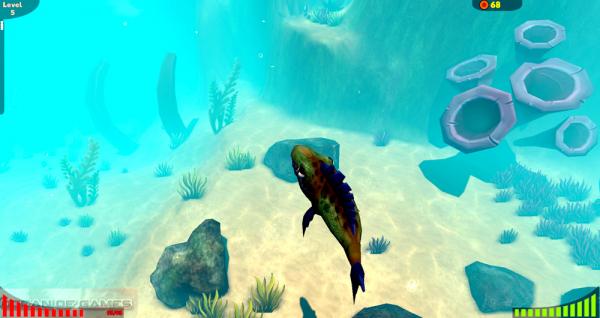 Feed and Grow Features