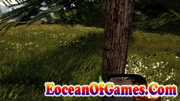 Forestry 2017 The Simulation Features