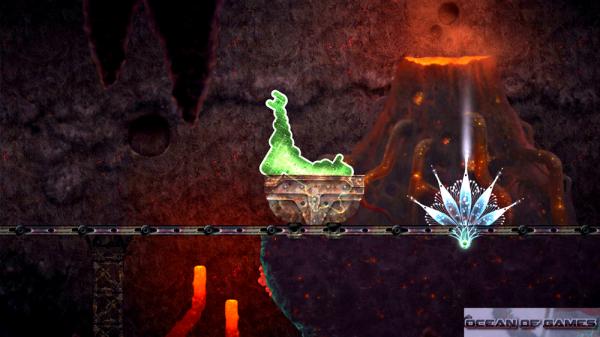 Mushroom 11 Features Mushroom 11 Features