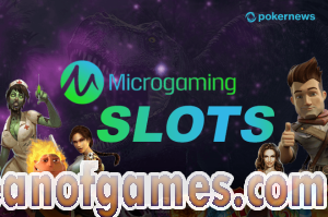 Top 3 Microgaming Slots