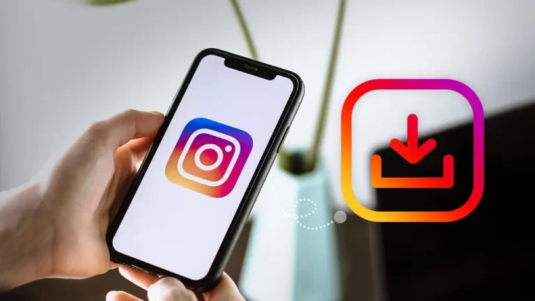 5 maneras de descargar vídeos de Instagram sin aplicaciones - Echa un vistazo a estos enlaces