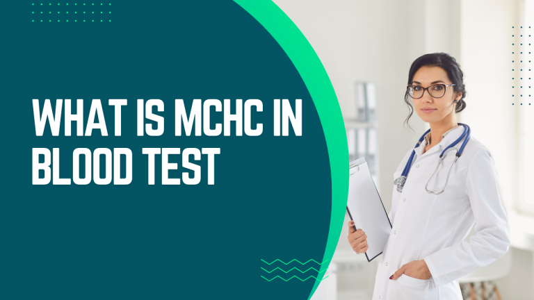 what is mchc in blood test